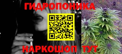 гашик Кунгур