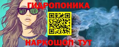 гашик Кунгур