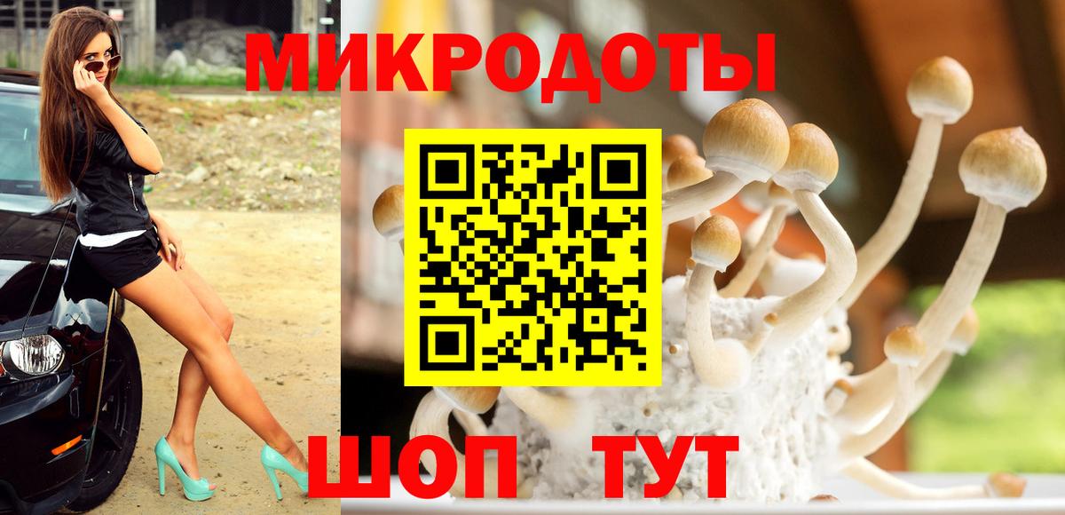 Псилоцибиновые грибы GOLDEN TEACHER Скопин