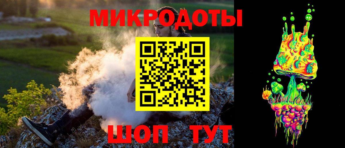 Скопин  Псилоцибиновые грибы GOLDEN TEACHER  что такое   Вход с VPN 